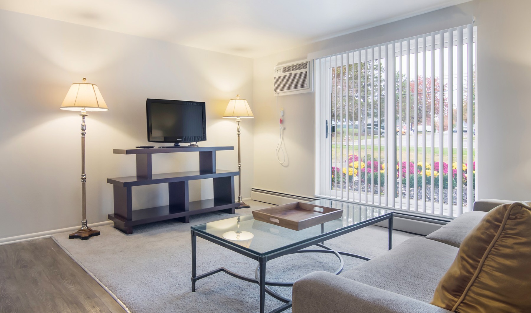 Living Room modern furnished living room